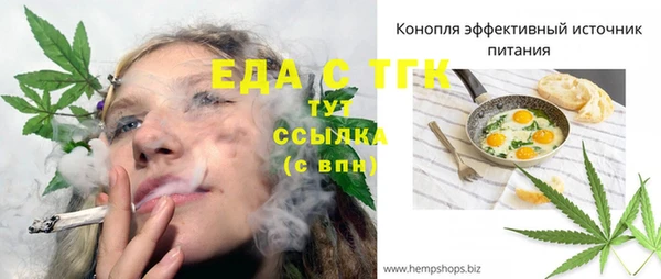 индика Баксан
