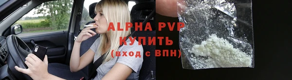 индика Баксан