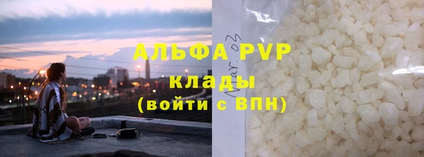 индика Баксан