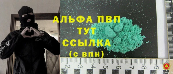 индика Баксан