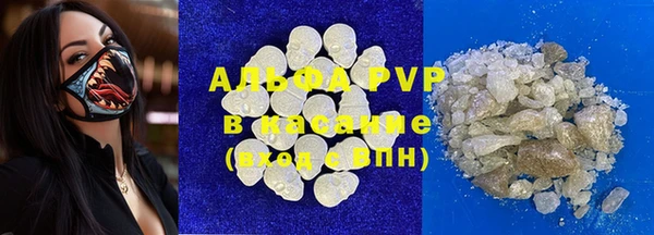 индика Баксан